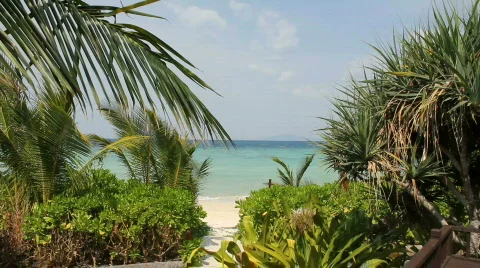 Trail to private beach Stock Footage 664309