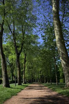 Trail in a public park Stock Photos
