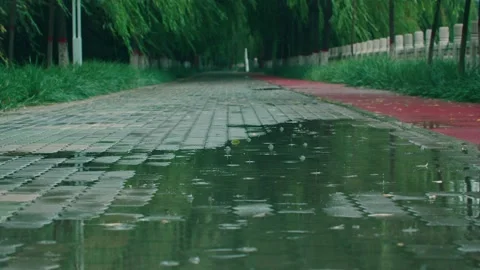 Trail in the rain Stock Footage 234054143