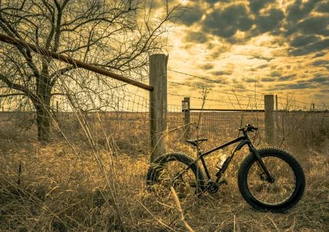 Trail Riding Adventures Stock Photos