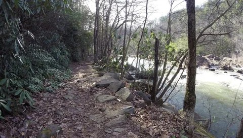 Trail with River Nearby 스톡 동영상 73124994