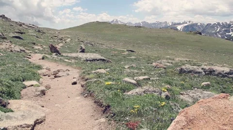 Trail on the Rocky Mountains  Stock Footage 41665586