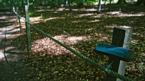 Trail rope for visually impaired Stock Footage 95524719
