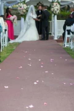 Trail of rose petals Stock Photos