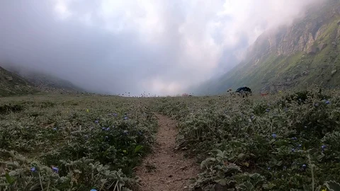 Trail run in the valley Stock Footage 124942409