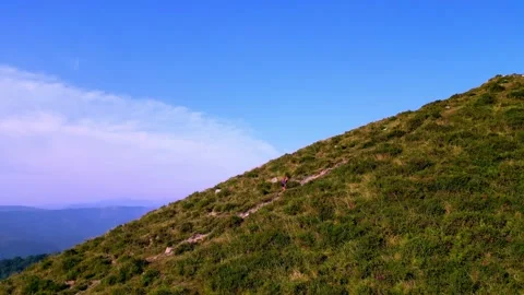 Trail runner ascending a scenic hillside Stock Footage 293313114