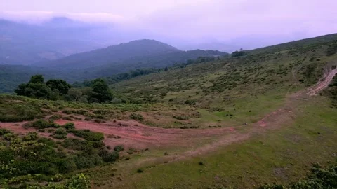 Trail runner crossing a vast open field Stock Footage 293313144