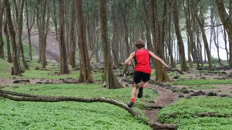 Trail Runner - Determined Young Man Running In Forest Stock Footage