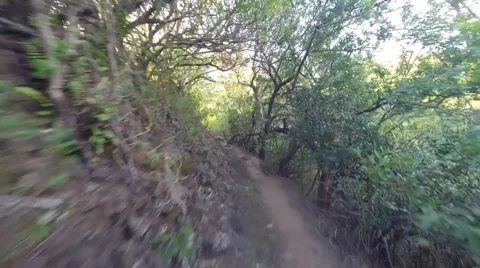 Trail runner first person view on Hawaii ridge trail Stock Footage 63427839