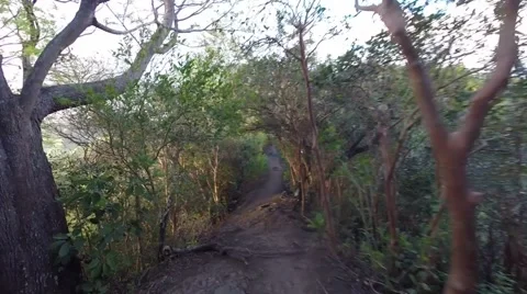 Trail runner first person view on Hawaii ridge trail Stock Footage 63427843