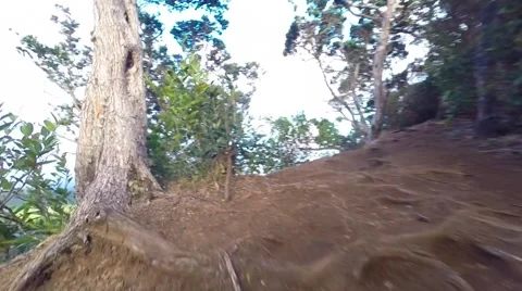 Trail runner first person view on Hawaii ridge trail Stock Footage 63654520