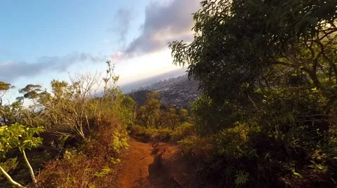 Trail runner first person view on Hawaii ridge trail Stock Footage 63654524