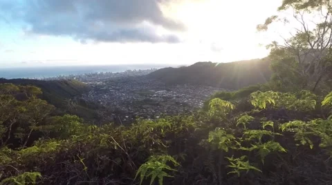 Trail runner first person view on Hawaii ridge trail Stock Footage 63654527