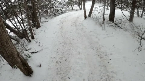 Trail Runner Jogging and Running through a Snowy Trail POV Stock Footage 229316743