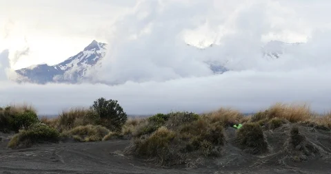 Trail runner man running in New Zealand mountains nature Stock Footage 103065809