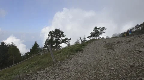 Trail runner at Mount Daibosatsu in summer, Yamanashi Prefecture Video stock 58466677