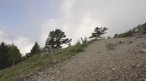Trail runner at Mount Daibosatsu in summer, Yamanashi Prefecture Stock Footage 58466679