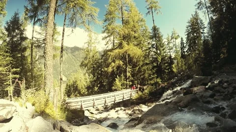 Trail runner runs on the bridge in Chamonix valley near the creek and fir trees Stock Footage 53875098