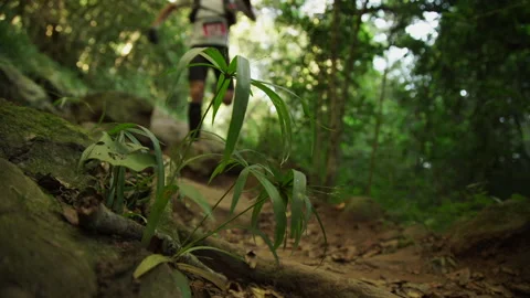 Trail runner runs down a forest trail. 스톡 동영상 140961994