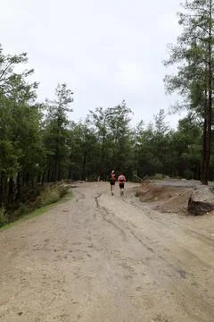 Trail runners forest Stock-Fotos