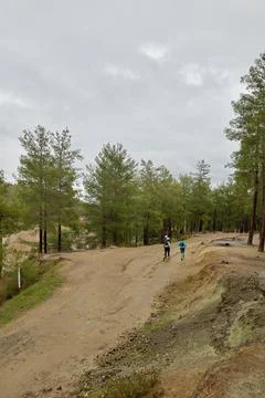 Trail runners forest Stock Photos