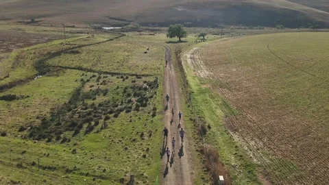 Trail runners next to dam running on a path on a farm in summer Stock Footage 292968492