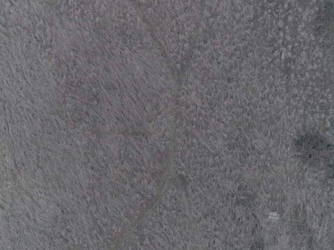 Trail Running - Drone - 4K Stockbeeldmateriaal 74458971