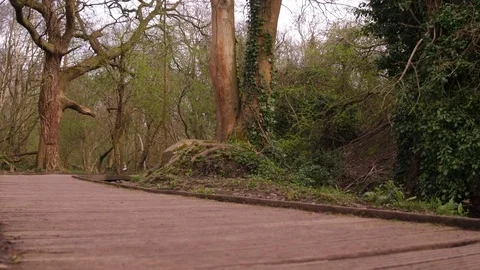 Trail Running Man On Mountain Path Exercising Part two Stock Footage 89657693