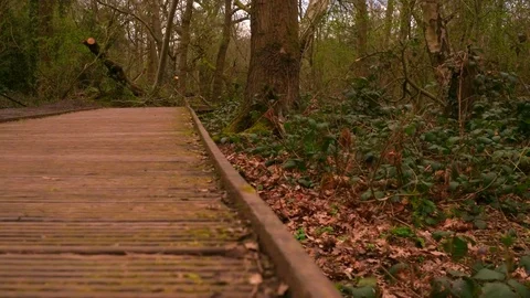 Trail Running Man On Mountain Path Exercising Part 3 Stock Footage 89679579