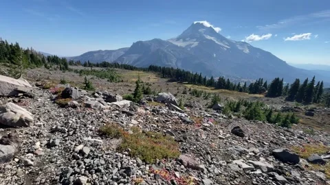 Trail Running Pacific Crest Trail Oregon near Mount Jefferson Video stock 329457803