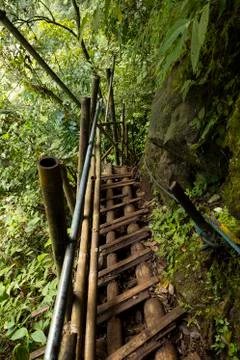 Trail to Sewu waterfall, in East Java, Indonesia Fotos de archivo