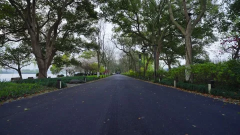 A trail in the shade of the ancient trees of West Lake in the early morning Stock Footage 312889432