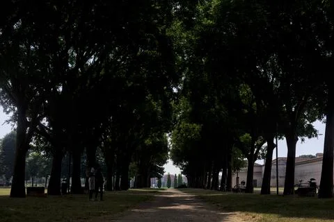 Trail in the shade Stock Photos