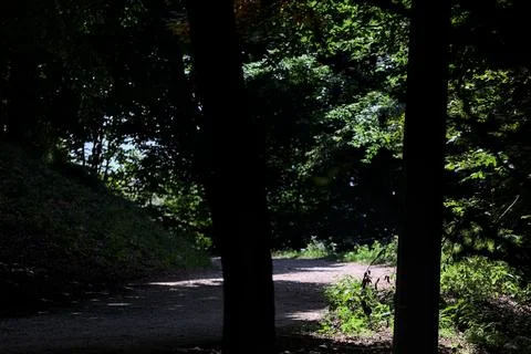 Trail in the shade Stock Photos