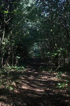 Trail in the shade Stock Photos