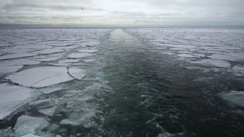 The trail of the ship in the ice. Chunks of ice. The Arctic. Back view. Ice Stock Footage 151291975