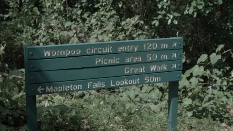 Trail Sign for Mapleton Falls and Great Walk in Sunshine Coast Hinterland Forest Stock Footage 341296069