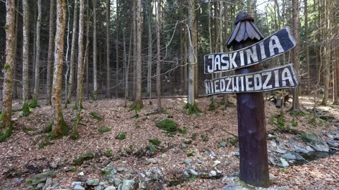 Trail sign pointing toward Bear Cave in Kletno, Poland, in a quiet forest Stock Footage 330846247
