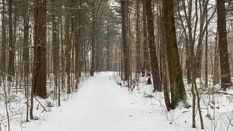 Trail in Snow Video stock 148172909