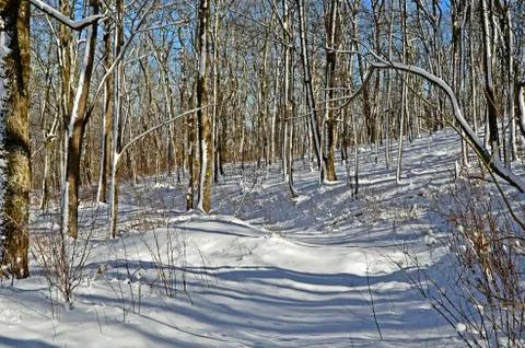Trail in the Snow Stock Photos