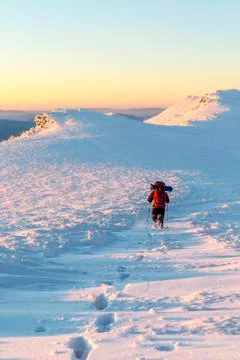 Trail in the snow Stock Photos