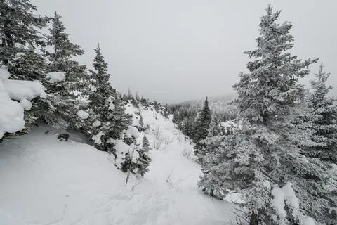 A trail stretching into the distance through Stock Photos