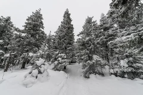 A trail stretching into the distance through Stock Photos