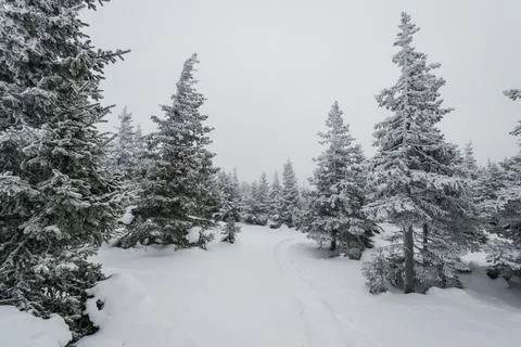 A trail stretching into the distance through Stock Photos