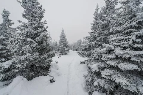 A trail stretching into the distance through Stock Photos