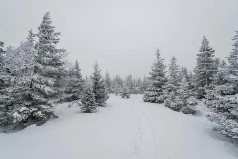 A trail stretching into the distance through Stock Photos