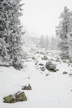 A trail stretching into the distance through Stock Photos