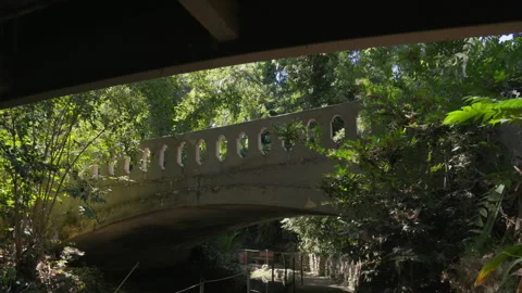 Trail with Sun Rays and Bridge at a Park Video stock 319351708