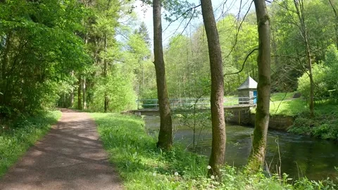 Trail surrounded by trees around river with small bridge Stock Footage 294755410