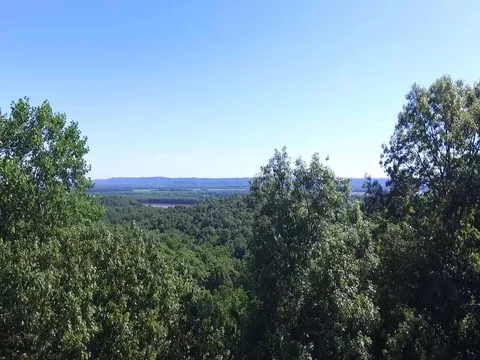 Trail of Tears reveal Stock Footage 77055852
